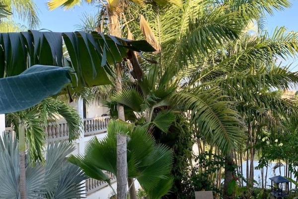 The Lazy Parrot Inn (Rincón)